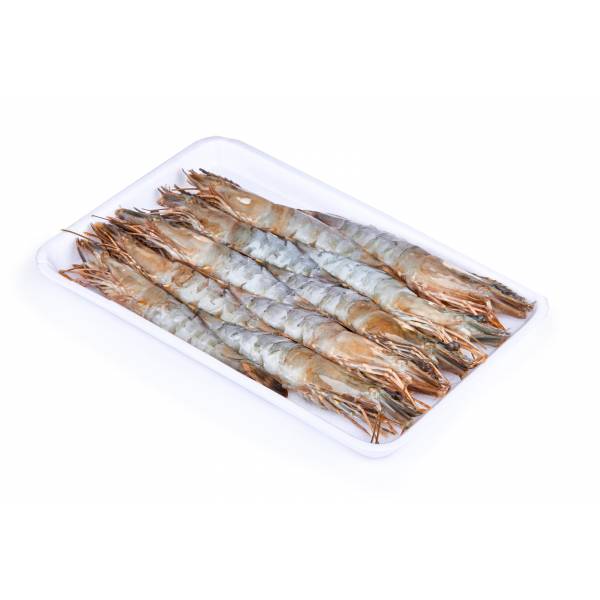 Ocean Gems Bikini Tiger Prawn Head On Shell On Frozen Raw 26-30 (10pcs)